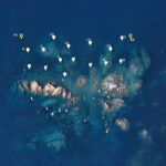 Un estudi assenyala l’impacte “positiu” que tenen els camps de boies per a la fauna i la flora del litoral de l’Empordà