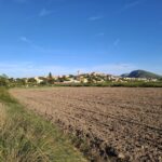 Unió de Pagesos rebutja que Bellcaire d’Empordà pugui limitar el reg a les finques properes als camins rurals