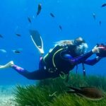 L’Estartit es converteix en capital mundial de la fotografia submarina amb més de 100 esportistes de 19 països