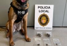Detingut a Sant Feliu un home per possessió de droga gràcies a la unitat canina