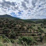 privat:-treballs-de-prevencio-d’incendis-a-cap-de-creus-per-protegir-la-zona-d’acces-a-cadaques