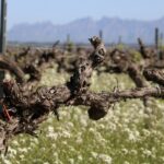 privat:-l’any-2025-va-cami-de-ser-el-tercer-mes-calid-des-que-es-tenen-registres,-segons-el-programa-climatic-copernicus