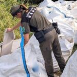 privat:-els-agents-rurals-denuncien-un-productor-de-plaques-de-guix-per-abocar-les-en-terreny-forestal-a-vall-llobrega