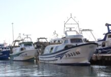 El ministeri d’Agricultura anuncia 13 dies addicionals de pesca per a la flota d’arrossegament abans de Nadal privat:-el-ministeri-d’agricultura-anuncia-13-dies-addicionals-de-pesca-per-a-la-flota-d’arrossegament-abans-de-nadal