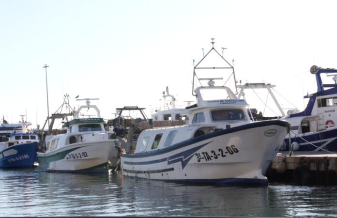 privat:-el-ministeri-d’agricultura-anuncia-13-dies-addicionals-de-pesca-per-a-la-flota-d’arrossegament-abans-de-nadal