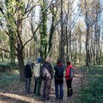 privat:-la-diputacio-destina-70.000-euros-en-ajuts-a-entitats-gironines-per-a-projectes-de-conservacio-del-patrimoni-natural