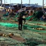 privat:-el-govern-rebutja-les-noves-quotes-de-pesca-i-diu-que-la-comissio-europea-“ignora-l’esforc”-i-“castiga”-el-sector