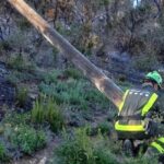 privat:-l’incendi-de-palamos-afecta-4,3-hectarees-i-s’hauria-iniciat-arran-de-la-caiguda-d’un-suport-electric