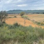 privat:-projecten-un-parc-solar-a-torrent-de-la-mida-de-17-camps-de-futbol