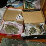 Desmantellen un narcopis amb droga valorada en més de 18.000 euros a la Bisbal d’Empordà