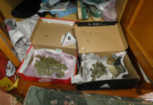 Desmantellen un narcopis amb droga valorada en més de 18.000 euros a la Bisbal d’Empordà