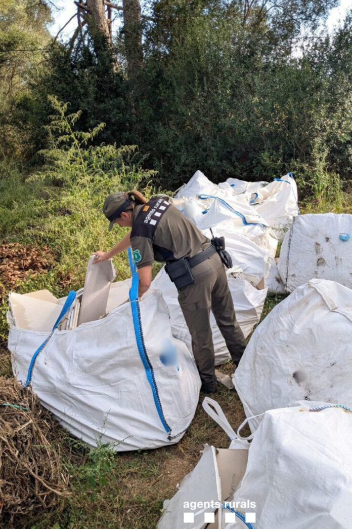 Vall-llobrega - Els Agents Rurals han denunciat un productor de plaques de guix després de localitzar diversos sacs en un terreny forestal a Vall-llobrega (Baix Empordà). Segons informen en una piulada a X, la denúncia és per gestionar incorrectament els residus. Al llarg del mes d'octubre, els Agents Rurals han localitzat i comunicats als ajuntaments afectats un total de 197 abocaments incontrolats de residus.