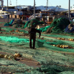 Els pescadors catalans titllen la proposta de Brussel·les per al 2026 de “despropòsit de proporcions bíbliques” pesca unió europea