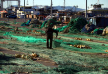 Els pescadors catalans titllen la proposta de Brussel·les per al 2026 de “despropòsit de proporcions bíbliques” pesca unió europea