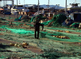 Els pescadors catalans titllen la proposta de Brussel·les per al 2026 de “despropòsit de proporcions bíbliques” pesca unió europea