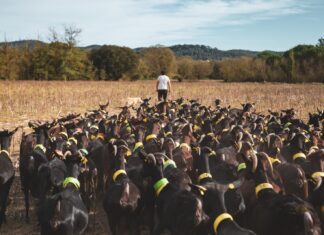 Origen Empordanet llança la campanya “Motius per omplir-nos la boca” per reivindicar el producte local