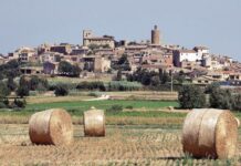 Pals aprova el pressupost per al 2026 per un import de més de 8,4 milions d’euros privat:-pals-aprova-un-pla-especial-per-a-protegir-masies-i-cases-rurals