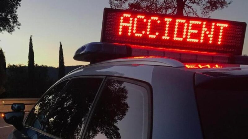 privat:-un-senglar-irromp-a-la-carretera-i-causa-un-accident-a-mont-ras