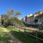 privat:-compte-enrere-per-pavimentar-el-cami-de-vianants-de-la-llera-del-daro,-al-costat-de-la-fabrica-cultural-brava-arts