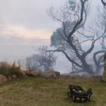 privat:-cremen-300-m2-de-vegetacio-a-palafrugell