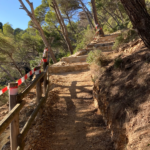 privat:-l’ajuntament-de-palafrugell-posa-en-marxa-les-obres-d’adequacio-del-cami-de-ronda-entre-tamariu-i-cala-pedrosa