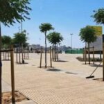 privat:-inversions-de-2,2-milions-a-palamos-per-al-2026-amb-la-segona-fase-del-passeig-i-la-nova-coberta-de-l’estadi-de-futbol