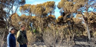 Palamós i la Generalitat coordinen les actuacions urgents a la zona cremada de Castell-Cap Roig privat:-l’ajuntament-de-palamos-i-la-generalitat-coordinen-les-actuacions-a-realitzar-en-l’ambit-de-l’ein-castell-cap-roig-afectat-per-l’incendi-de-novembre