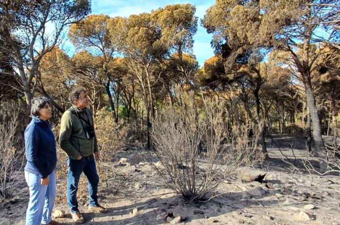 privat:-l’ajuntament-de-palamos-i-la-generalitat-coordinen-les-actuacions-a-realitzar-en-l’ambit-de-l’ein-castell-cap-roig-afectat-per-l’incendi-de-novembre