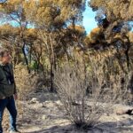 privat:-palamos-inicia-actuacions-per-restaurar-l’espai-natural-de-castell-cap-roig-afectat-pel-foc