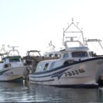 privat:-el-parlament-europeu-reclama-ajudes-publiques-per-renovar-la-flota-pesquera-amb-vaixells-mes-ecologics