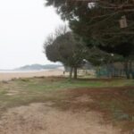 privat:-sos-costa-brava-celebra-que-platja-d’aro-denegues-l’ampliacio-de-la-marina-que-preveia-300-pisos-i-un-hotel