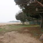 privat:-sos-costa-brava-celebra-que-platja-d’aro-denegues-l’ampliacio-de-la-marina-que-preveia-300-pisos-i-un-hotel