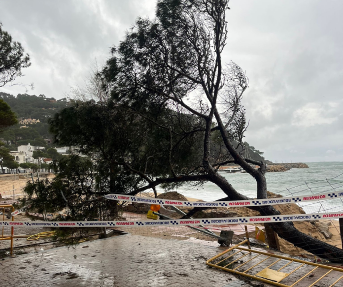 privat:-la-policia-local-de-palafrugell-desplega-un-ampli-dispositiu-nocturn-pel-temporal