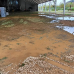 Cancel·lat el Festivern 2025 per la manca de garanties de seguretat a causa del temporal cancellat-el-festivern-2025-per-la-manca-de-garanties-de-seguretat-a-causa-del-temporal