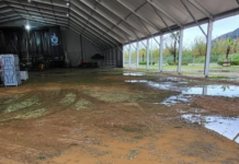 Cancel·lat el Festivern 2025 per la manca de garanties de seguretat a causa del temporal cancellat-el-festivern-2025-per-la-manca-de-garanties-de-seguretat-a-causa-del-temporal