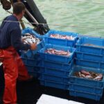 privat:-el-departament-d’agricultura-paga-els-5,9-milions-d’euros-pendents-d’ajuts-al-sector-pesquer