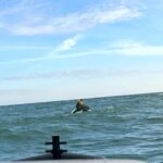 privat:-rescaten-una-familia-a-l’estartit-despres-que-el-seu-veler-bolques-i-quedes-a-la-deriva