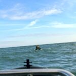 privat:-rescaten-una-familia-amb-dos-menors-despres-que-el-seu-veler-bolques-i-quedessin-a-la-deriva-a-l’estartit