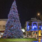 privat:-l’avet-d’avets-de-platja-d’aro