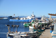 Els pescadors catalans no descarten la insubmissió en cas que la proposta de quotes de Brussel·les “no sigui coherent” pescadors roses
