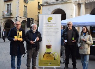 La DOP Oli de l’Empordà presenta la seva nova collita a Figueres dop oli empordà