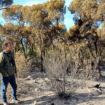 Ajuntament de Palamós i Generalitat comencen a treballar per recuperar el terreny afectat per l’incendi de Castell-Cap Roig tecnincs ajuntament de palamos