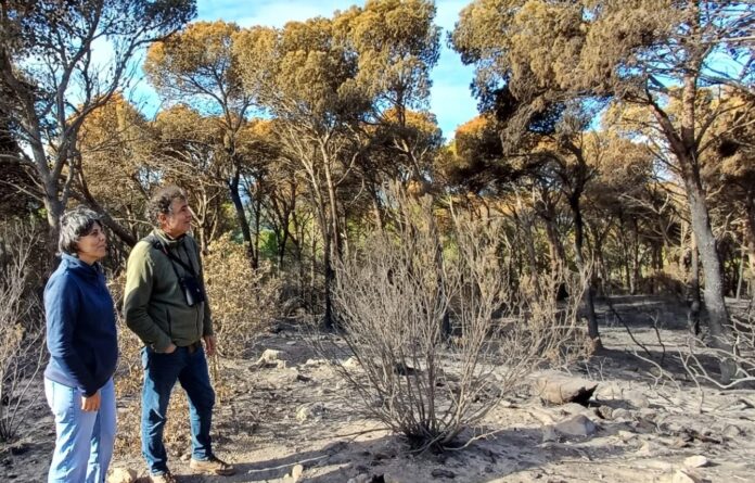 tecnincs ajuntament de palamos