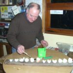 La ceba d’en ‘Pauet’ de Santa Pau preveu un 2026 amb uns 1.000 litres de pluja