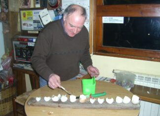 La ceba d’en ‘Pauet’ de Santa Pau preveu un 2026 amb uns 1.000 litres de pluja