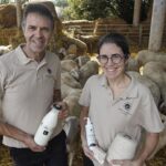 La llet d’ovella de Cruïlles que fa miracles a la pell