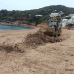 Palafrugell neteja la platja de Tamariu després del temporal de mar 2026_01_08_Neteja_Tamariu Palafrugell