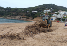 Palafrugell neteja la platja de Tamariu després del temporal de mar 2026_01_08_Neteja_Tamariu Palafrugell