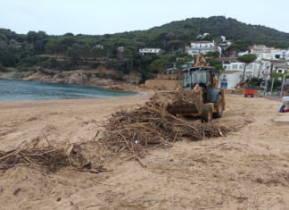 Palafrugell neteja la platja de Tamariu després del temporal de mar 2026_01_08_Neteja_Tamariu Palafrugell