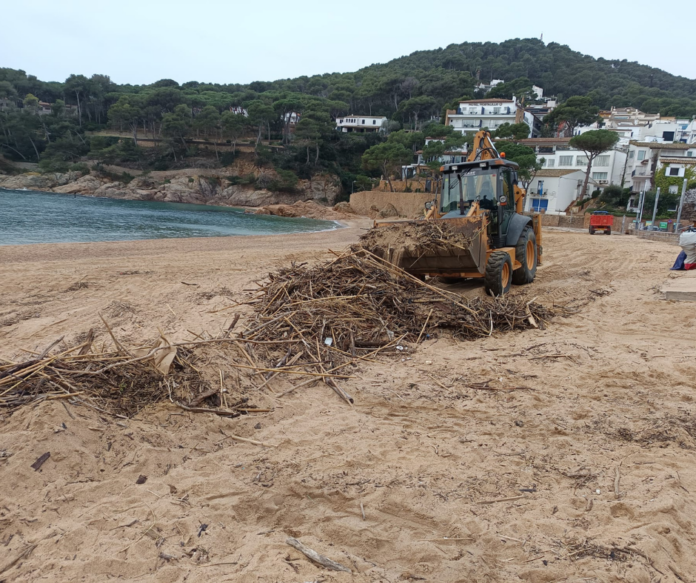 2026_01_08_Neteja_Tamariu 2026_01_08_Neteja_Tamariu Palafrugell